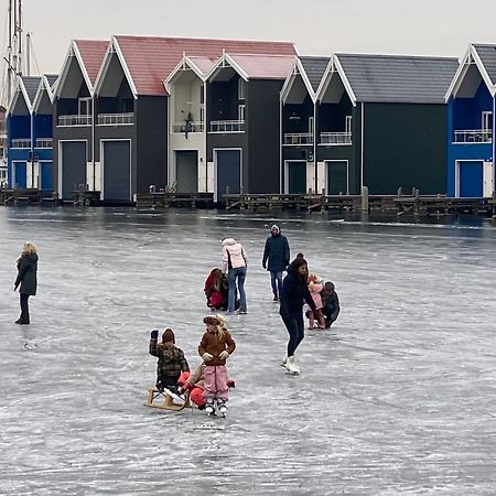 Nomad Water Studio هارفايك المظهر الخارجي الصورة